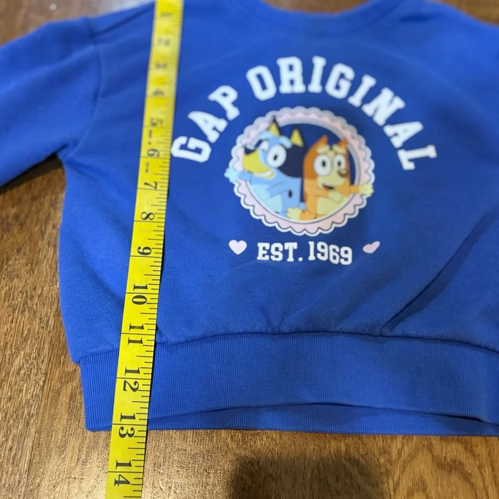 Baby GAP Bluey Sweatshirt – Size 3T